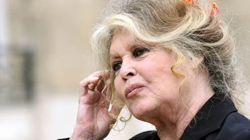 Brigitte Bardot, le 27 septembre 2007 à Paris.