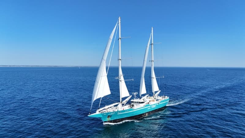 Les cales sont "quasi vides, voire vides" à cause des droits de douane de Donald Trump: la compagnie maritime de cargos à voile TOWT dépose le bilan au moment où "le pétrole explose"