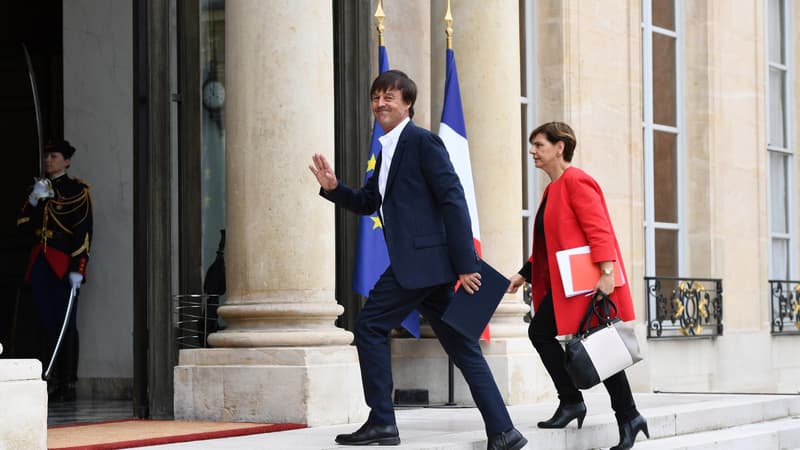 Nicolas Hulot, ministre de la Transition écologique et solidaire, arrive à l'Elysée avant le premier Conseil des ministres, le 18 mai 2017 à Paris.