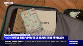 Grève SNCF: ces Français privés de trains et d'un Noël en famille