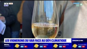 Var: les vignerons face au défi climatique