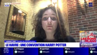 Le Havre: une convention Harry Potter prévue début novembre