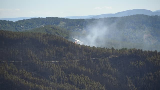 Quelque 750 pompiers sont mobilisés poour faire face au "méga-feu" dans les Cévennes, près de Bessèges, dans le Gard, le 8 juillet 2022