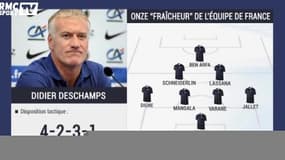 Le Onze "Fraîcheur" de l'Equipe de France