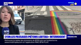 Lyon: les passages piétons arc en ciel font réagir