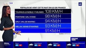 Vents violents: jusqu'à 108 km/h enregistrés en Ile-de-France