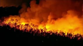 Un incendie de forêt dans le New Jersey, le 12 avril 2023.