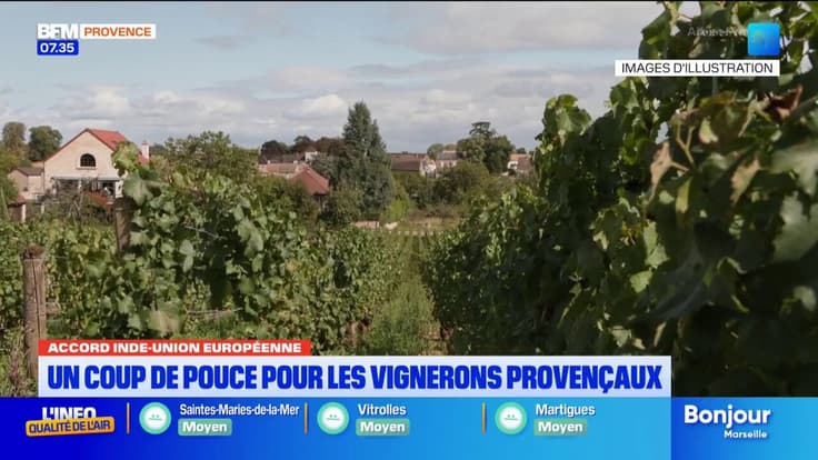 Accord Inde-Union Européenne. Un coup de pouce pour les vignerons provençaux