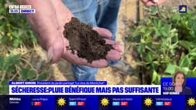 Sécheresse : une pluie bénéfique pour les jardiniers 