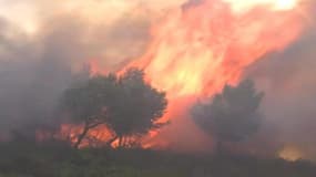 Feu de forêt (photo d'illustration)