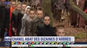 Chanel critiqué pour avoir coupé de vrais arbres pour son défilé au Grand Palais