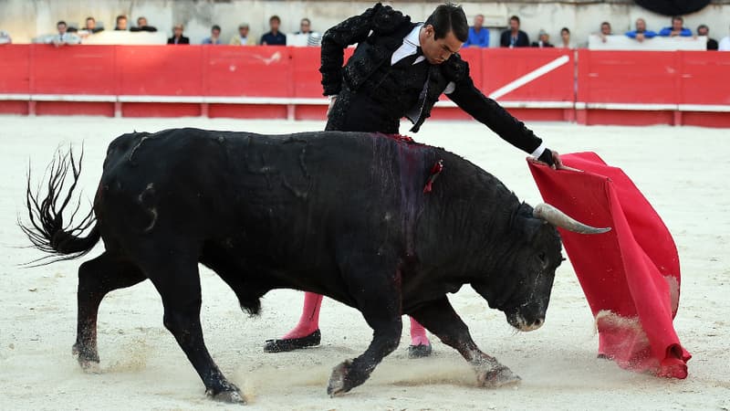 Le matador espagnol Jose Marie Manzanares.