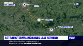 Lille-Valenciennes: le trafic TER reprend sur la ligne, après un accident sur un passage à niveau