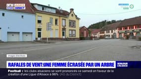 Bas-Rhin: une femme meurt écrasée par un arbre après des rafales de vent