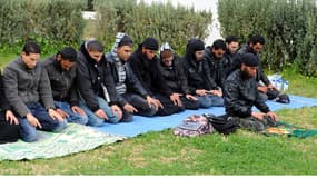 Des salafistes tunisiens en pleine prière, en 2012. (Illustration)