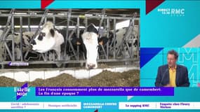 Les Français consomment plus de mozzarella que de camembert : "Le camembert représente l'ancien monde" se désole René Chiche.