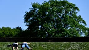 Le bois de Vincennes.