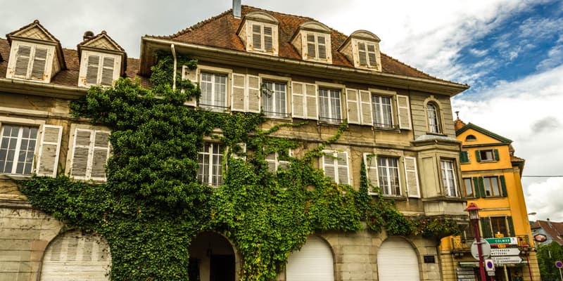 Pour les 1% les plus aisés, le patrimoine immobilier représente 36% de leur fortune contre 62% pour l'ensemble des ménages.