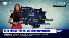 Météo Paris-Île-de-France: un temps pluvieux, frais et gris ce vendredi