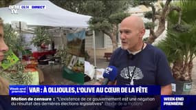 "Il y a plus de 2.000 variétés d'huiles d'olive": à Ollioules, dans le Var, l'olive au cœur de la fête 