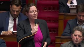 Cyrielle Chatelain (EELV): "Ici, aucun de nous n'est un assassin"