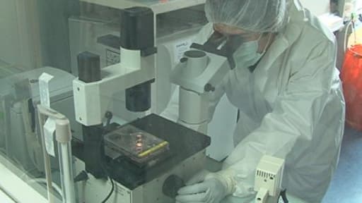 quatre nouveaux cas de coronavirus ont été détectés en Arabie Saoudite