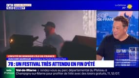 Yvelines: l'Elektric Park festival "c'est toujours le dernier week-end avant la rentrée"