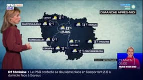 Météo Paris-Île-de-France: un grand soleil malgré quelques passages nuageux, jusqu'à 13°C à Paris