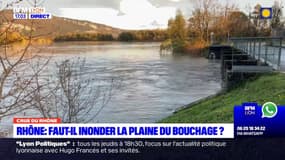 Crue du Rhône: faut-il inonder la plaine du Bouchage pour protéger Lyon ? 