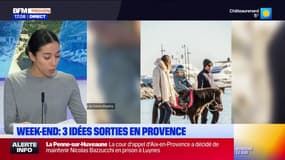 Spectacles, exposition: nos idées sorties en Provence pour ce week-end