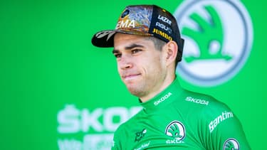 Wout VAN AERT