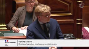 "Elle défendait la fierté de son métier": Marc Fesneau rend hommage au Sénat à l'agricultrice tuée en Ariège