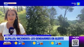 Alpilles: une brigade équestre en alerte face aux risques d'incendie