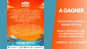 A gagner : Vos Pass 4J et des places pour le Insane Festival
