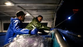 Des pêcheurs lancent leurs filets, au large de La Rochelle, le 21 février 2024, alors que la pêche dans le golfe de Gascogne a repris après une interdiction d'un mois (photo d'illustration)