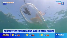 L'été chez nous du vendredi 30 août : Observez les fonds marins la Paddle House