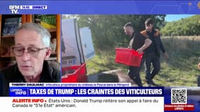 Taxes de Trump sur les exportations: "On attend une Europe forte", confie ce viticulteur inquiet