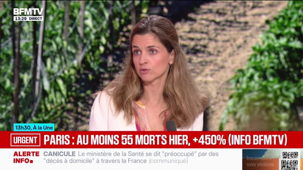 Paris'te Perşembe Günü Samu Tarafından En Az 55 Ölüm Kaydedildi, %450 Artış