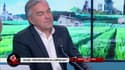 Guyane : "Dans les bidonvilles, ma mère s’est fait braquer trois fois avec un flingue sur la tempe"