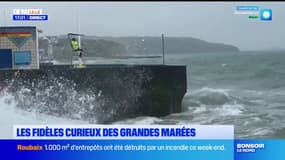 "C'est extraordinaire": les curieux sont au rendez-vous pour voir les grandes marées