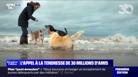 30 Millions d'Amis et la chanteuse Pomme s'associent pour un appel à la tendresse envers les animaux