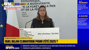 "L'été 2025 est au troisième rang des étés les plus chauds", assure Virginie Scharwz, PDG de Météo-France