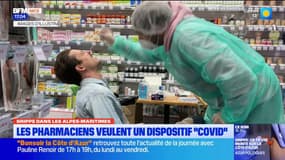 Grippe dans les Alpes-Maritimes: les pharmaciens veulent un dispositif "Covid"