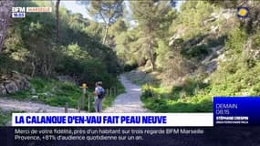 La calanque d'En-Vau, bientôt plus facile d'accès pour les promeneurs