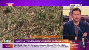 Sécheresse Pyrénées-Orientales: Risque d'incendie accru