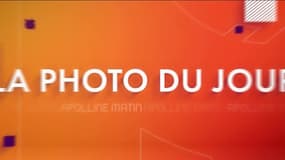 Louis Aliot, maire de Perpignan, a décidé de s'attaquer à l'identité catalane