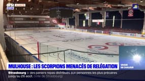 Hockey: le maintien en Ligue Magnus des Scorpions de Mulhouse menacé