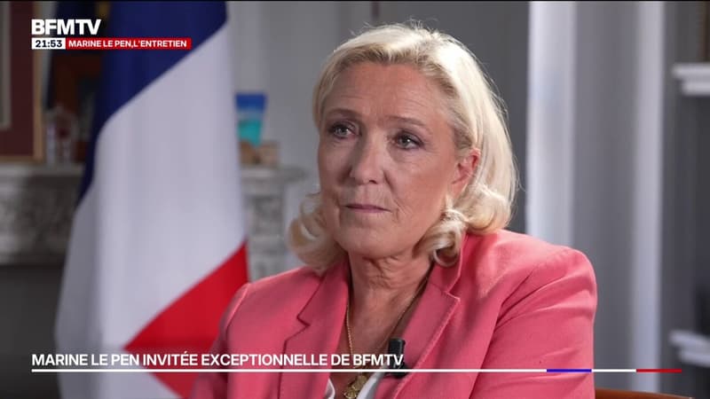 "Lorsqu'un candidat a un comportement qui est contraire aux idées du Rassemblement national, il est exclu", assure Marine Le Pen