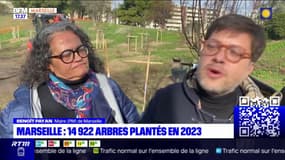 Marseille: près de 15.000 arbres plantés en 2023