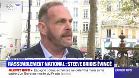 Après son éviction du bureau exécutif du RN, Steeve Briois dit "craindre un risque de reradicalisation"